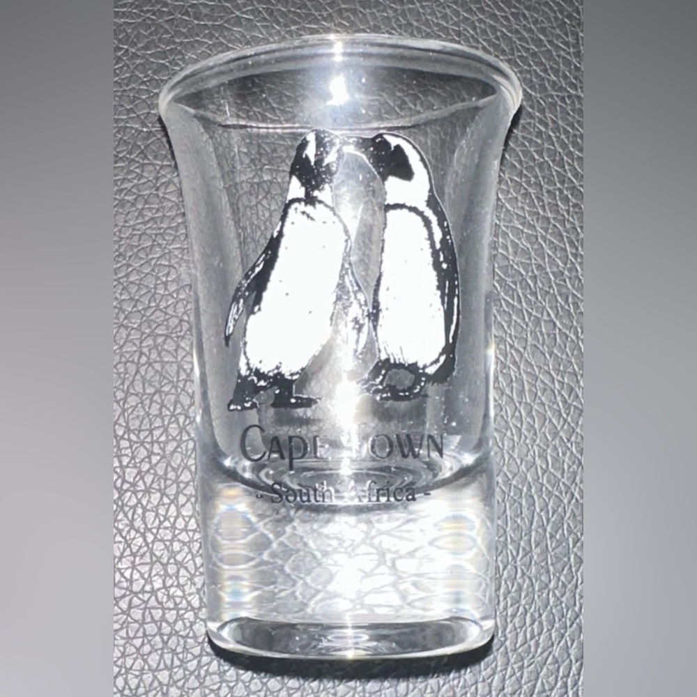 Cape Town South Africa Shot Glass